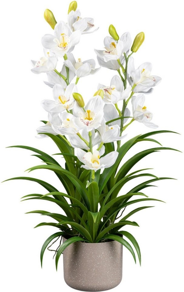 Kunstorchidee Orchidee Cymbidie Orchidee, Creativ green, Höhe 70 cm, mit traumhaft schönen Blüten Bild 1