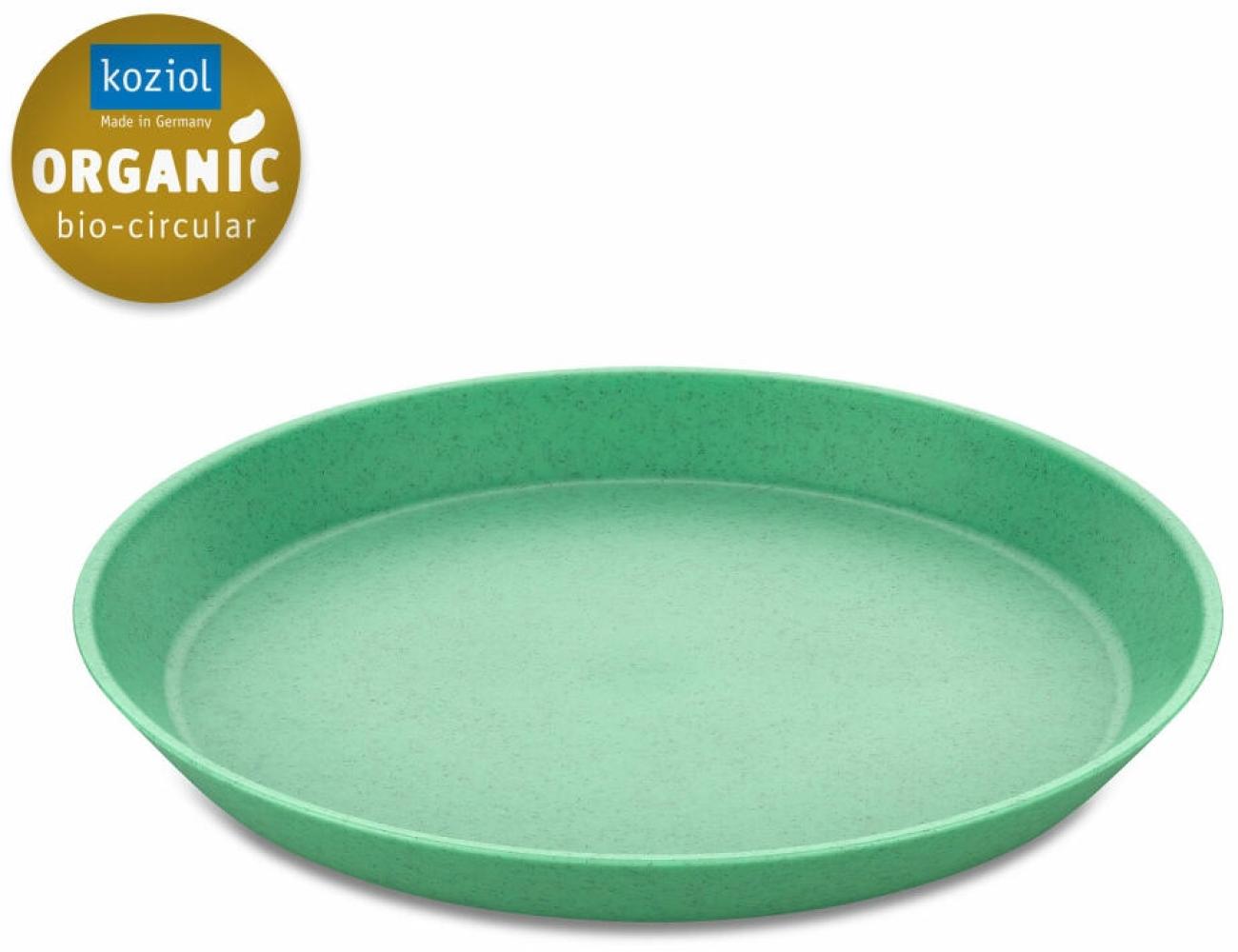 Koziol Kleiner Teller Connect Plate, Kuchenteller, Kunststoff, Organic Apple Green, 20. 5 cm, 3100708 Bild 1