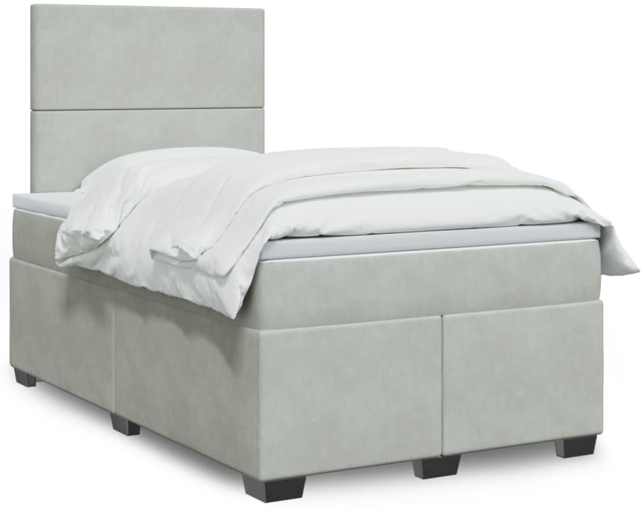 vidaXL Boxspringbett mit Matratze Hellgrau 120x200 cm Samt 3293176 Bild 1