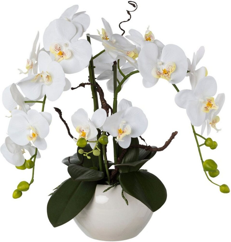 Kunstorchidee Phalaenopsis, Creativ green, Höhe 55 cm, im Keramiktopf Bild 1