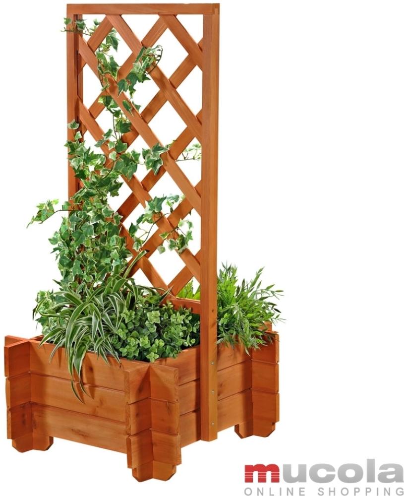 Rosenbogen Pflanzkübel Pergola Spalier Rankhilfe Blumenkübel Torbogen Holz Bild 1