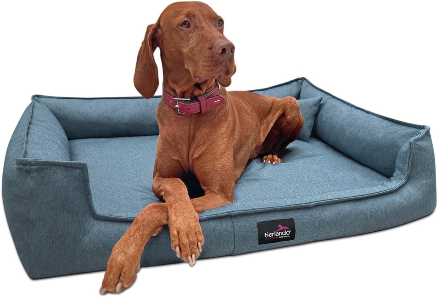 GUSTAV Orthopädisches Hundebett - 110x90cm, 21 Blau Bild 1