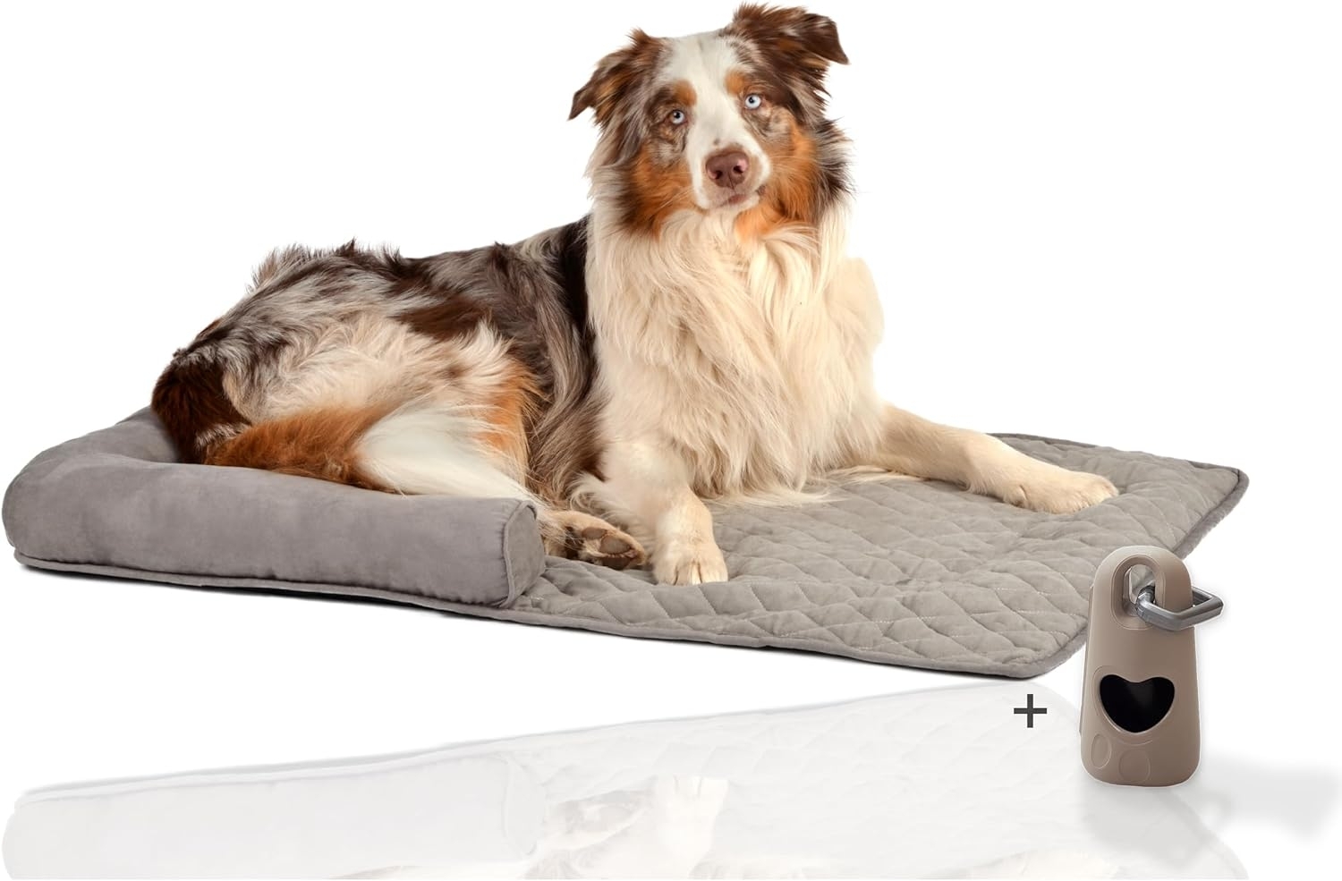 Rohrschneider Tierdecke Couchkissen Hund Hundebett Sofaschutz Möbelschutz Kofferraumschutz, Gesteppt, mit Rand Bild 1