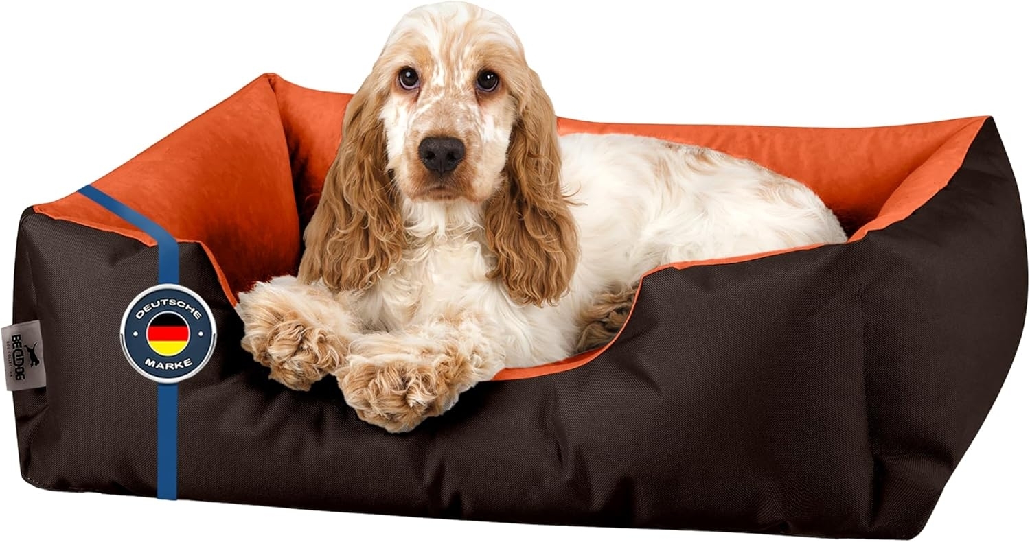 BedDog Hundebett LUPI, Hundesofa aus Cordura, Microfaser-Velours, waschbares Hundebett mit Rand, Hundekissen vier-eckig (S) ca. 55x40x17cm, SUNSET (braun/orange) Bild 1