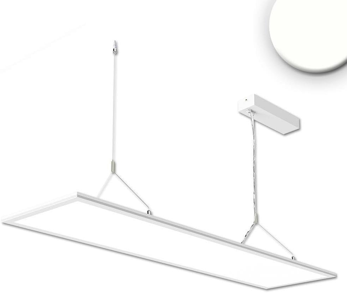 ISOLED LED Office Hängeleuchte Up+Down, 20+20W, 30x120cm, weiß, UGR Bild 1