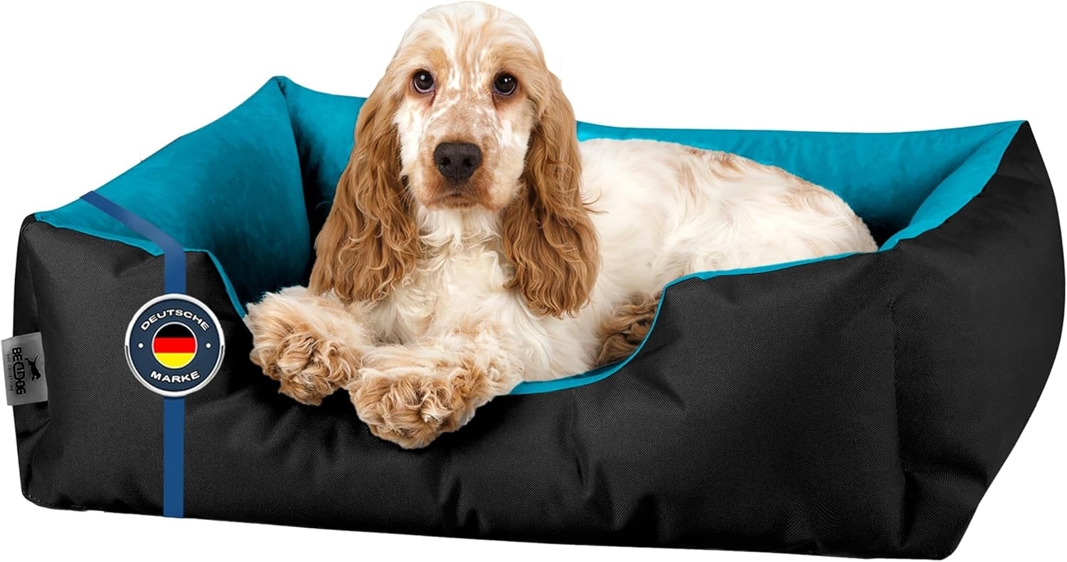 BedDog Hundebett LUPI, Hundesofa aus Cordura, Microfaser-Velours, waschbares Hundebett mit Rand, Hundekissen vier-eckig (S) ca. 55x40x17cm, BLUE-SKY (schwarz/blau) Bild 1