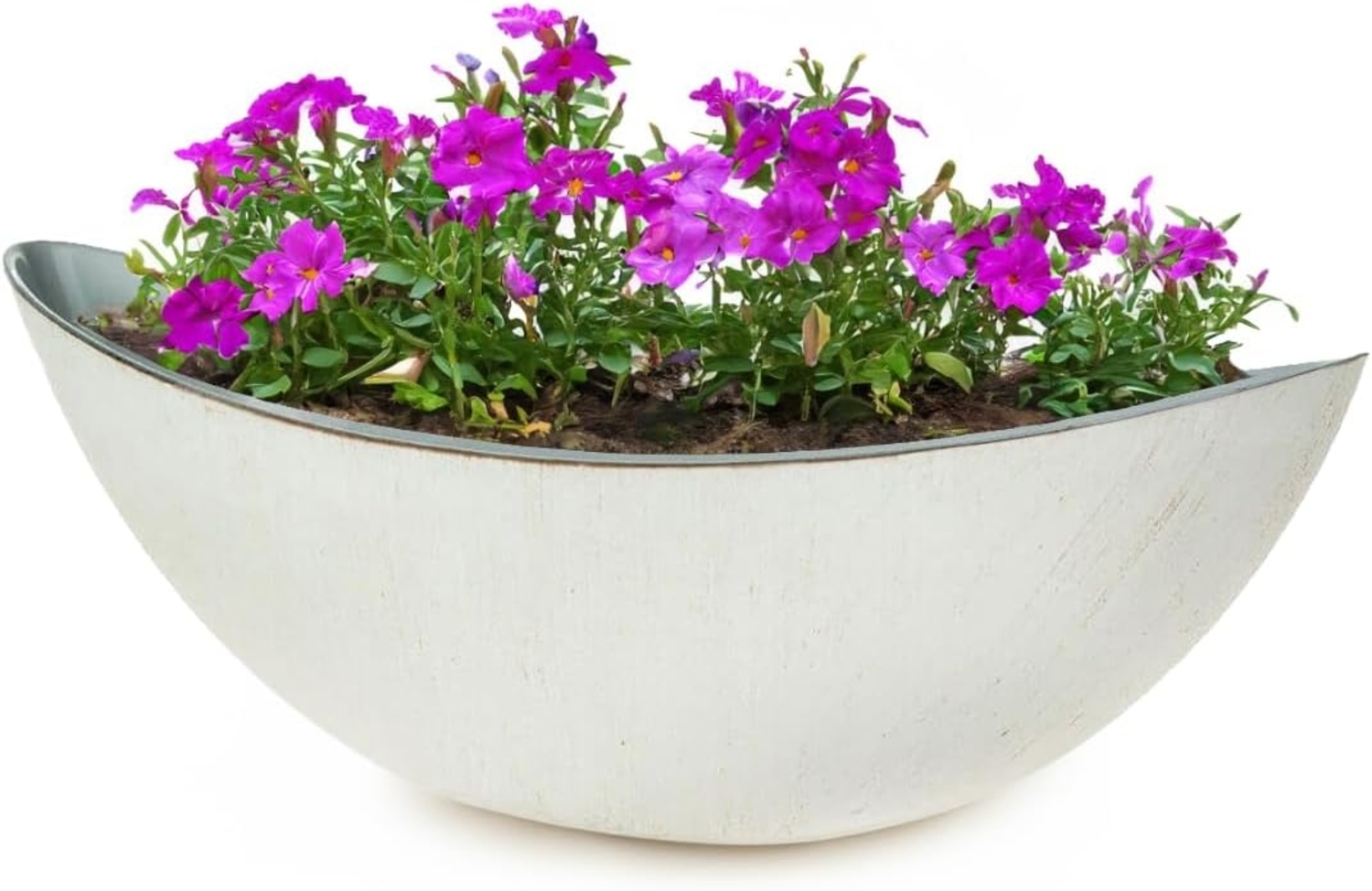 matches21 HOME & HOBBY Blumentopf Große Pflanzschale oval 39 cm für draussen Dekoschale creme-weiss (1 St), Blumen-Schale als wetterfeste Friedhof-Schale Grab-Schmuck Grabschale Bild 1