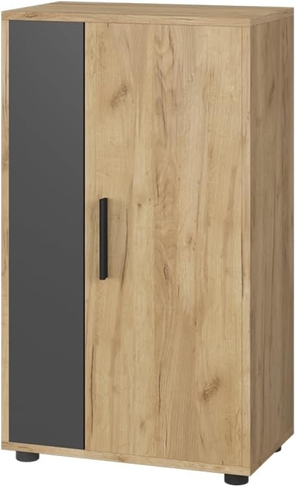 Kommode Berno Goldkraft Eiche/Anthrazit 50.1 x 87.3 cm mit 2 Fächern Vicco Bild 1