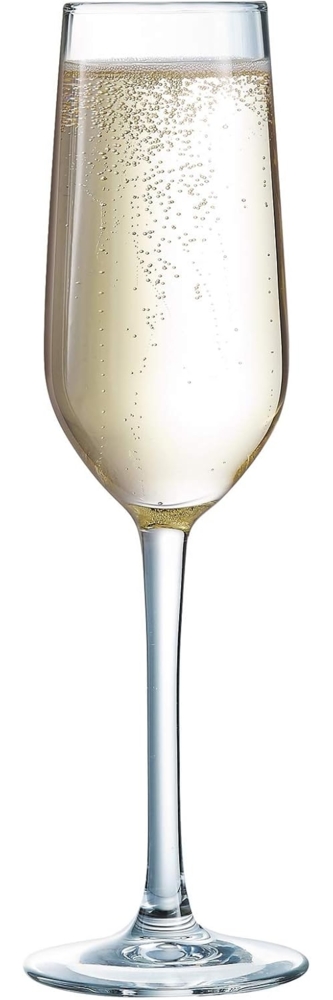 Arcoroc ARC L7425 Domaine Sektglas, Sektkelch, 160ml, Glas, transparent, 6 Stück Bild 1