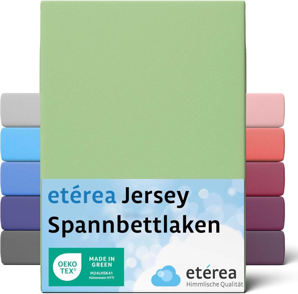 etérea Comfort Jersey Spannbettlaken Minze 180x200 cm - 200x200 cm Bild 1