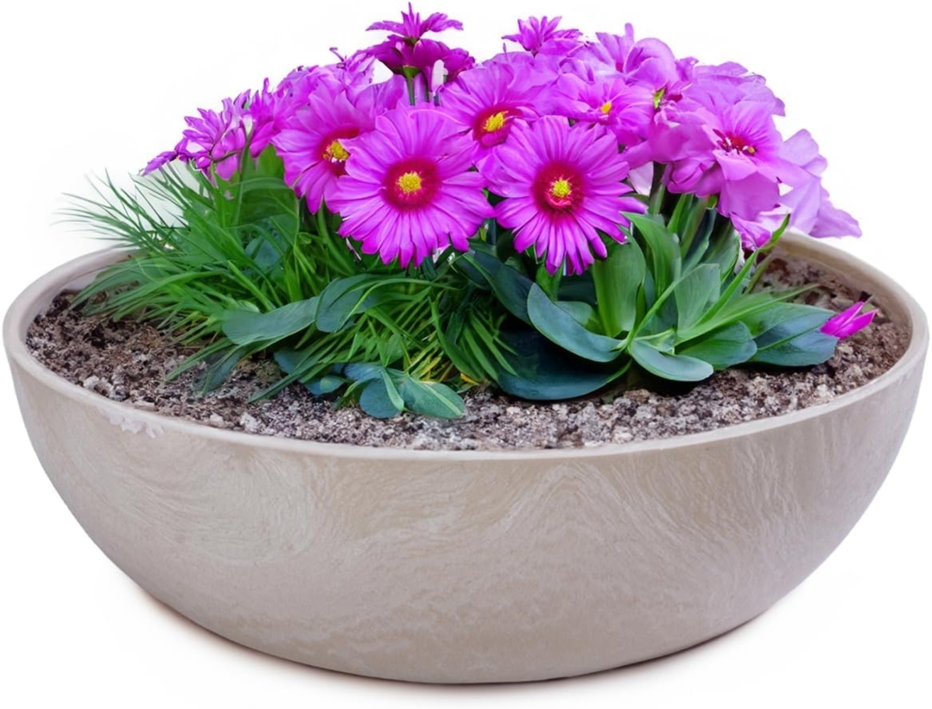 matches21 HOME & HOBBY Blumentopf Pflanzschalen für draussen Dekoschalen rund sand beige 25 cm (1 St), Blumen-Schale als wetterfeste Friedhof-Schale Grab-Schmuck Grabschale Bild 1