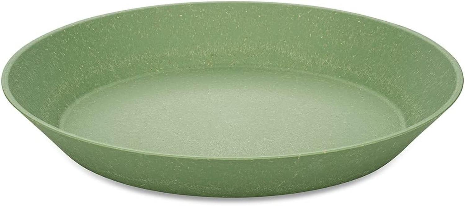 Koziol Tiefer Teller 4er-Set Connect Plate, Suppenteller, Schalen, Kunststoff-Holz-Mix, Nature Leaf Green, 24 cm, 7143703 Bild 1