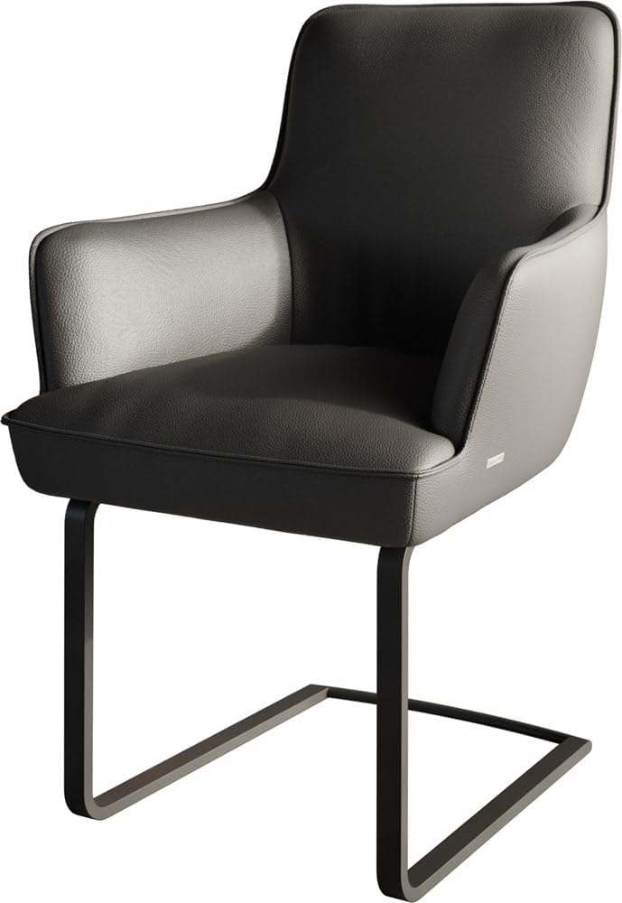 Freischwinger Heira-Flex mit Armlehnen Echt-Leder Schwarz Freischwinger flach Schwarz Taschenfederkern Bild 1