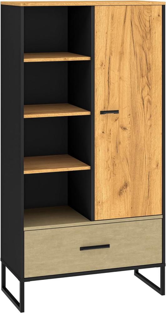 Bücherregal Colt Standregal 80x40x156cm schwarz Craft Gold Eiche Premium Steel Bild 1