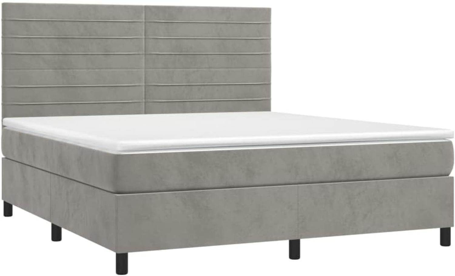 vidaXL Boxspringbett mit Matratze Hellgrau 160x200 cm Samt 3143091 Bild 1