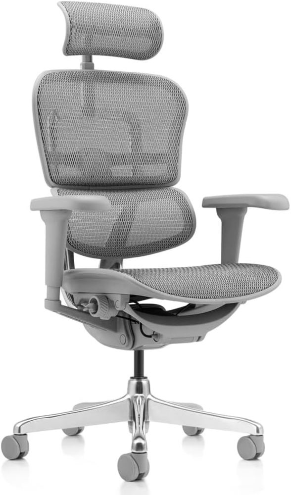 hjh OFFICE Bürostuhl ergonomisch ERGOHUMAN Ultra G GEN2 Originales Design, Bürosessel mit Flexibler Lendenwirbelstütze, Netzbespannung, Grau Bild 1