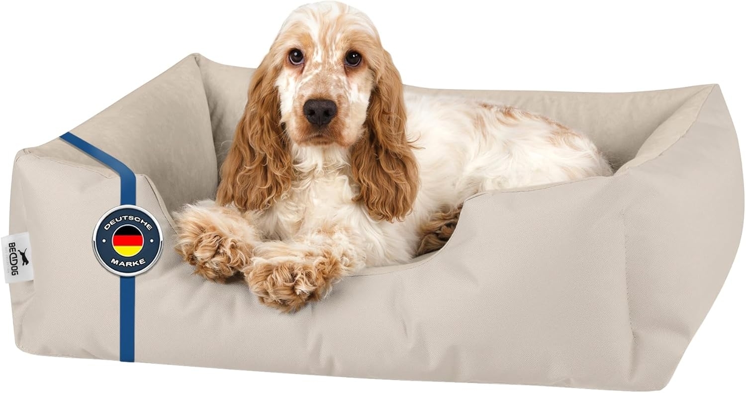 BedDog Hundebett ZARA, Hundekissen mit abziehbaren waschbaren Bezug, Hundekorb, Hundesofa, für kleine, große, mittel-große Hunde (S) ca. 55x40x17cm, LIGHT-SAND (hellbeige) Bild 1