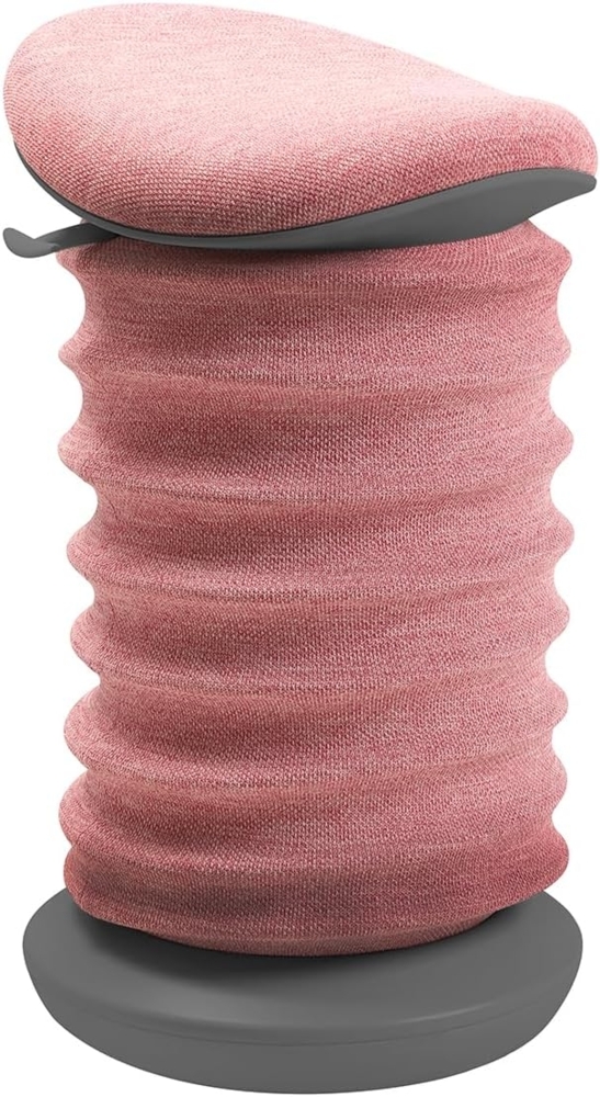 TOPSTAR Sitness 4D Dynamischer Sitzhocker Grau Rose Bild 1