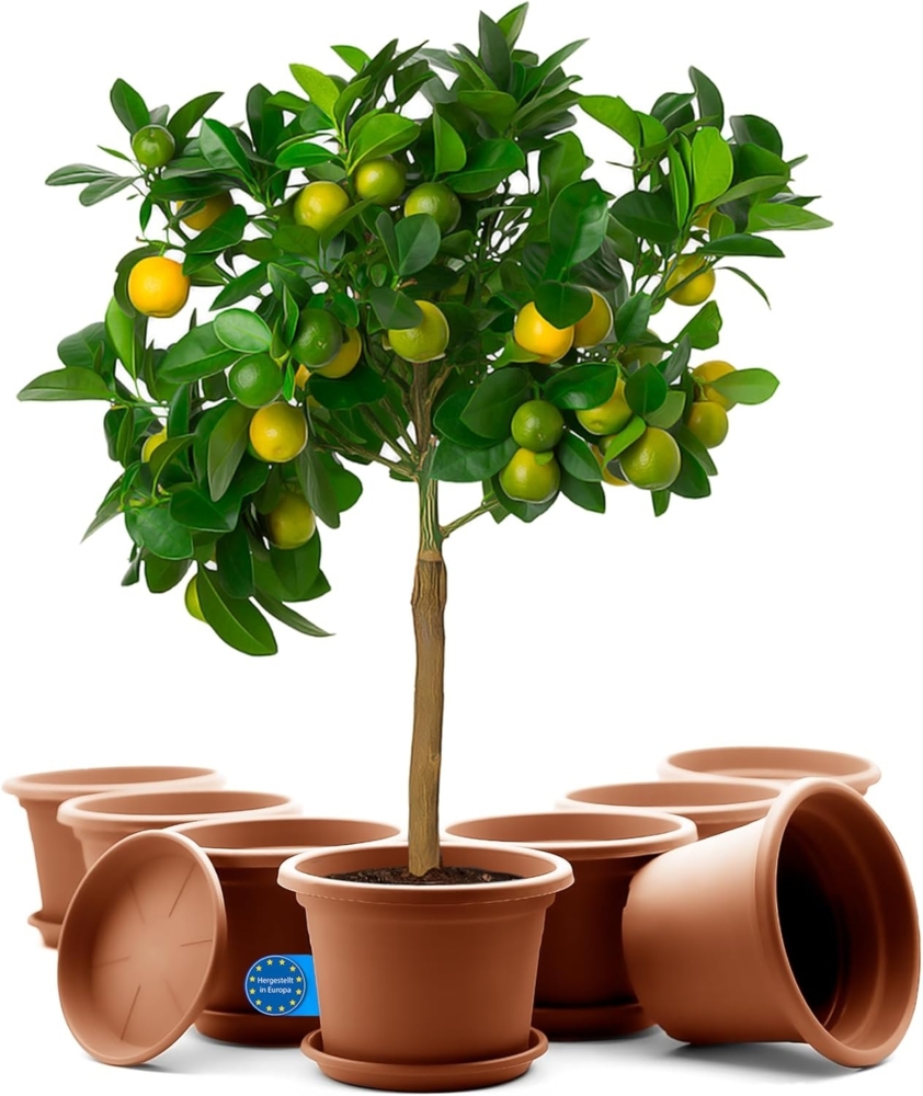 BigDean 8 Stück Blumentopf mit Untersetzer rund ø 35 cm Terrakotta – wetterfester Pflanzkübel Made in Europe Bild 1