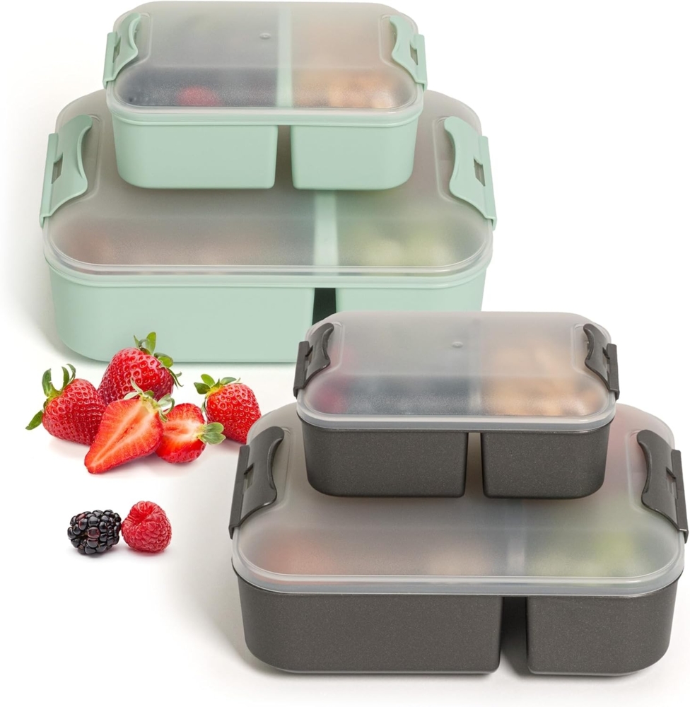 Hausfelder Lunchbox Brotdose 4er Set mit Unterteilung, 2x groß, 2 x klein, Kunststoff, (4er Set, 4-tlg), spülmaschinengeeignet, langlebig, bruchfest, BPA-frei Bild 1