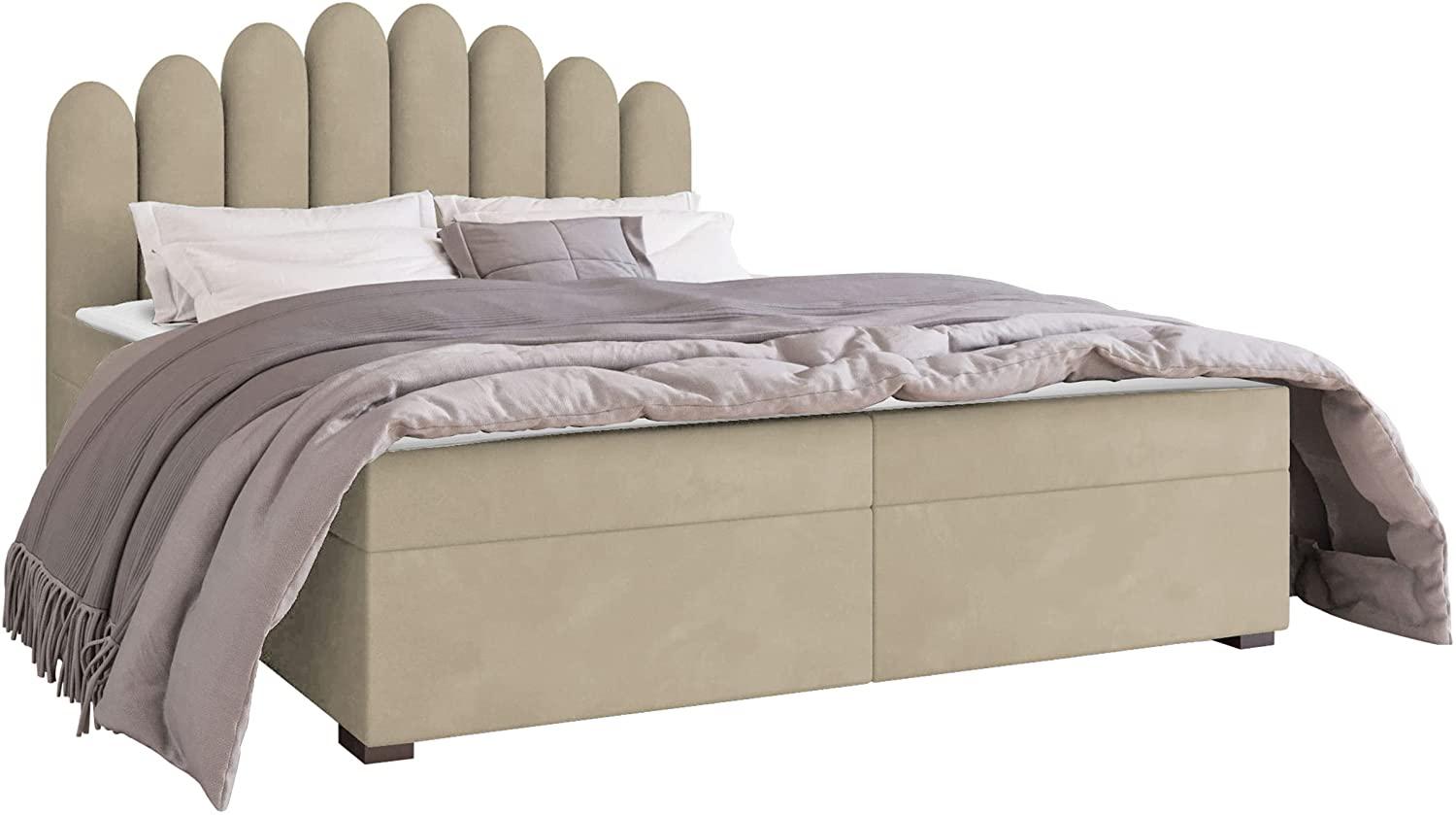 Mirjan24 	Boxspringbett Tosian, Sand, 140 x 200 cm Bild 1