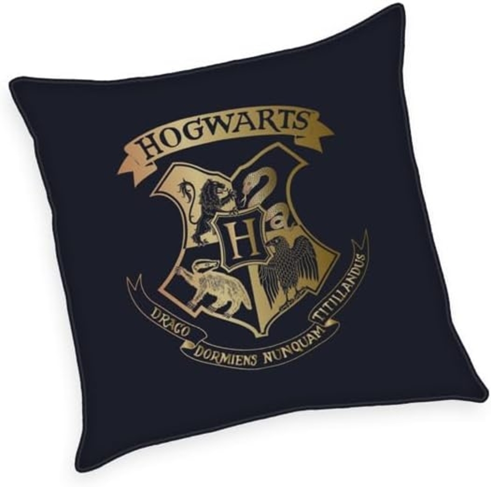 Harry Potter Soft Velboa Kissen, 40x40 cm, 100% Polyester Bild 1