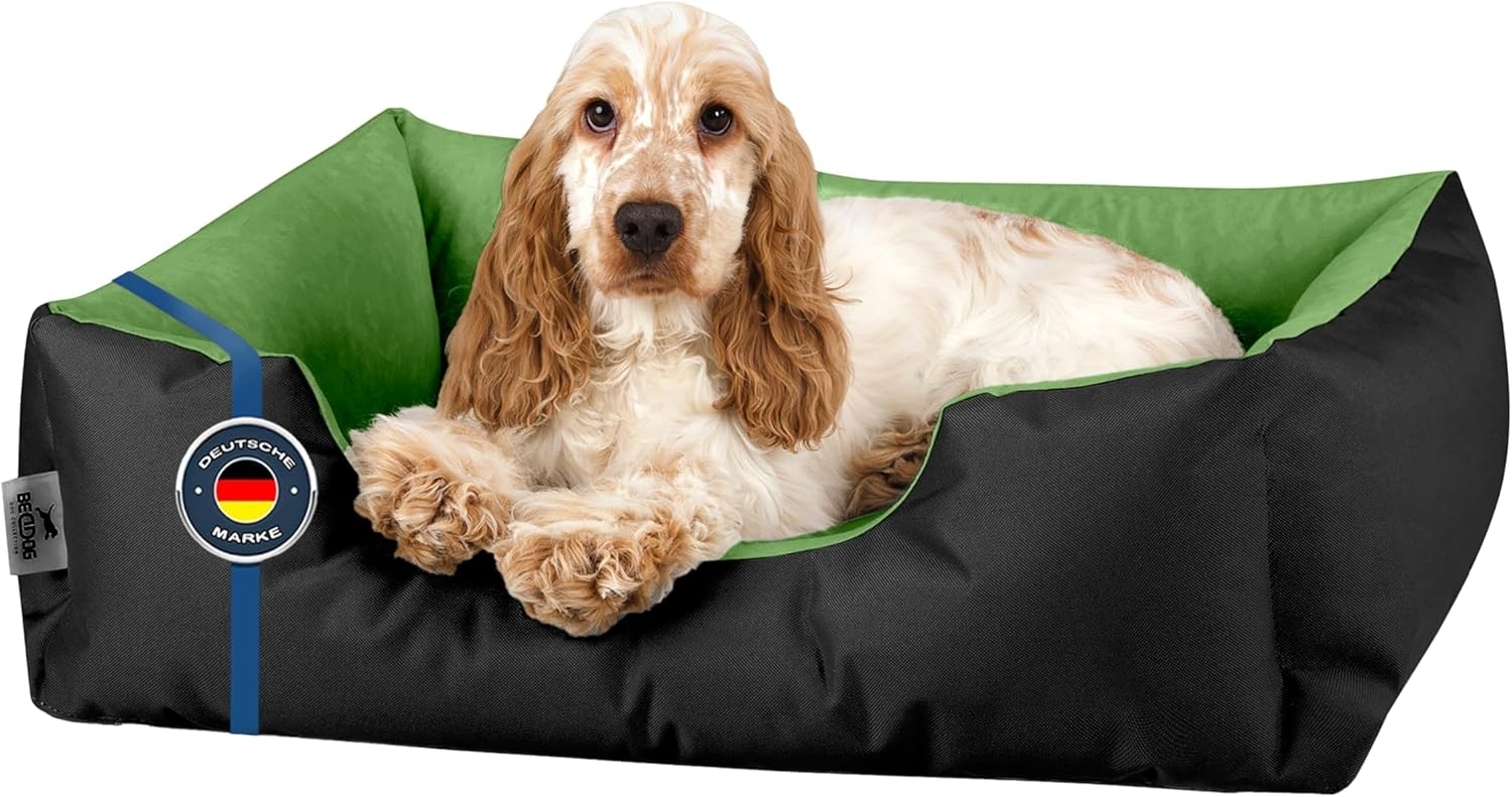 BedDog Hundebett LUPI, Hundesofa aus Cordura, Microfaser-Velours, waschbares Hundebett mit Rand, Hundekissen vier-eckig (M) ca. 70x55x18cm, GREEN-FIELD (schwarz/grün) Bild 1