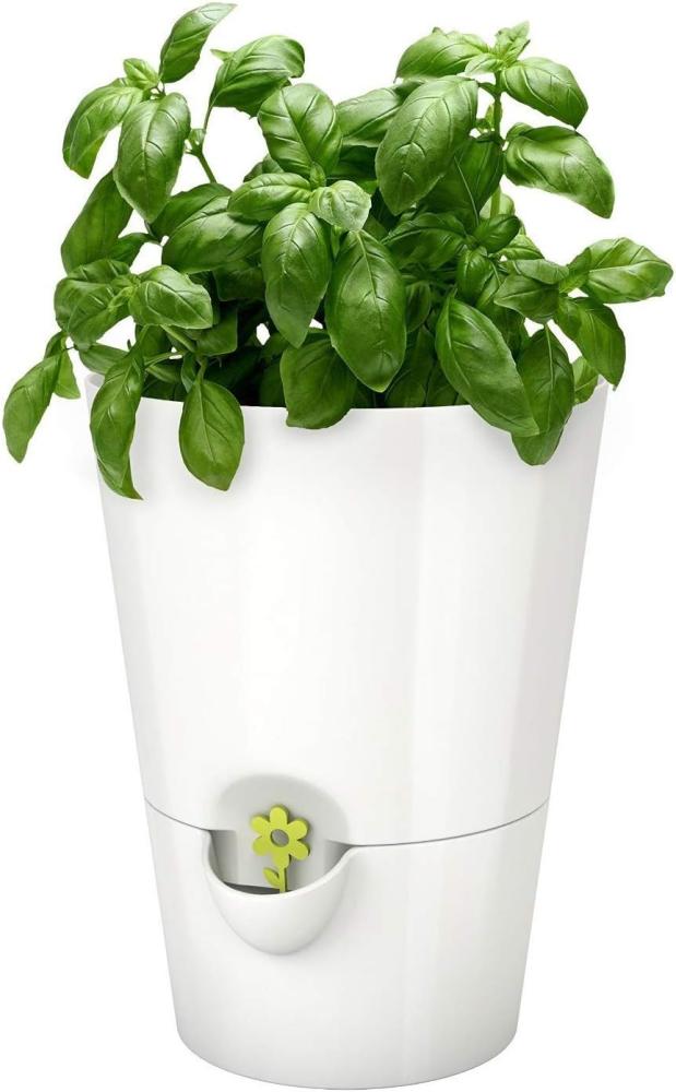 Emsa 514244 Kräutertopf für frische Kräuter, Selbstbewässerung, Wasserstandsanzeiger, Ø 13 cm, Weiß, Fresh Herbs Bild 1