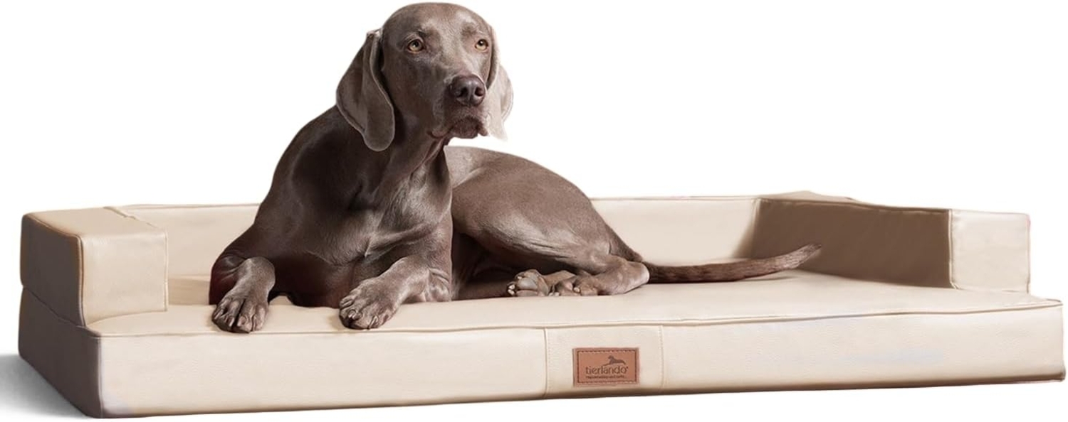 GIBSON Orthopädisches Hundesofa - 80x60cm, 05 Creme Bild 1