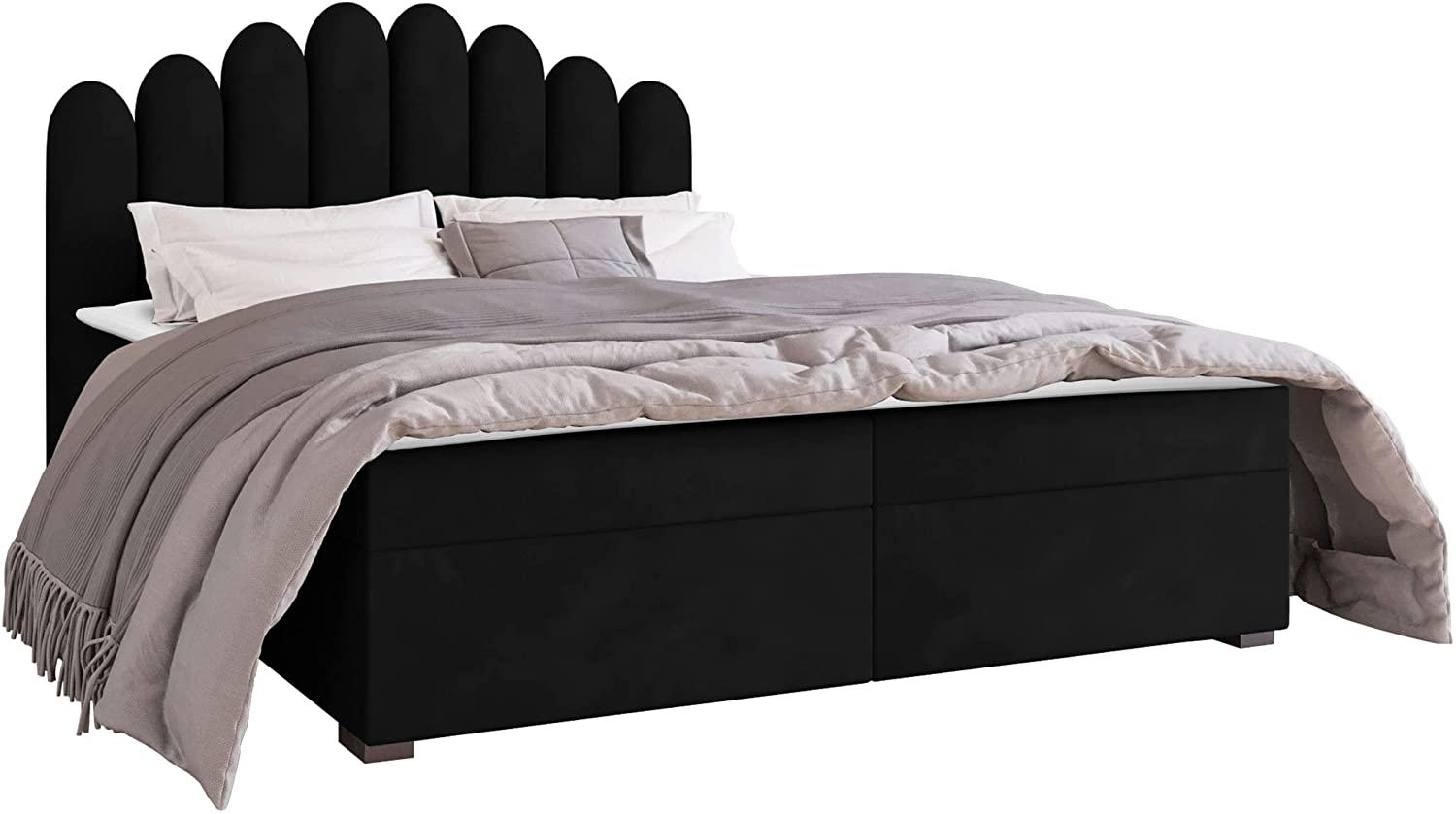 Mirjan24 	Boxspringbett Tosian, Schwarz, 160 x 200 cm Bild 1