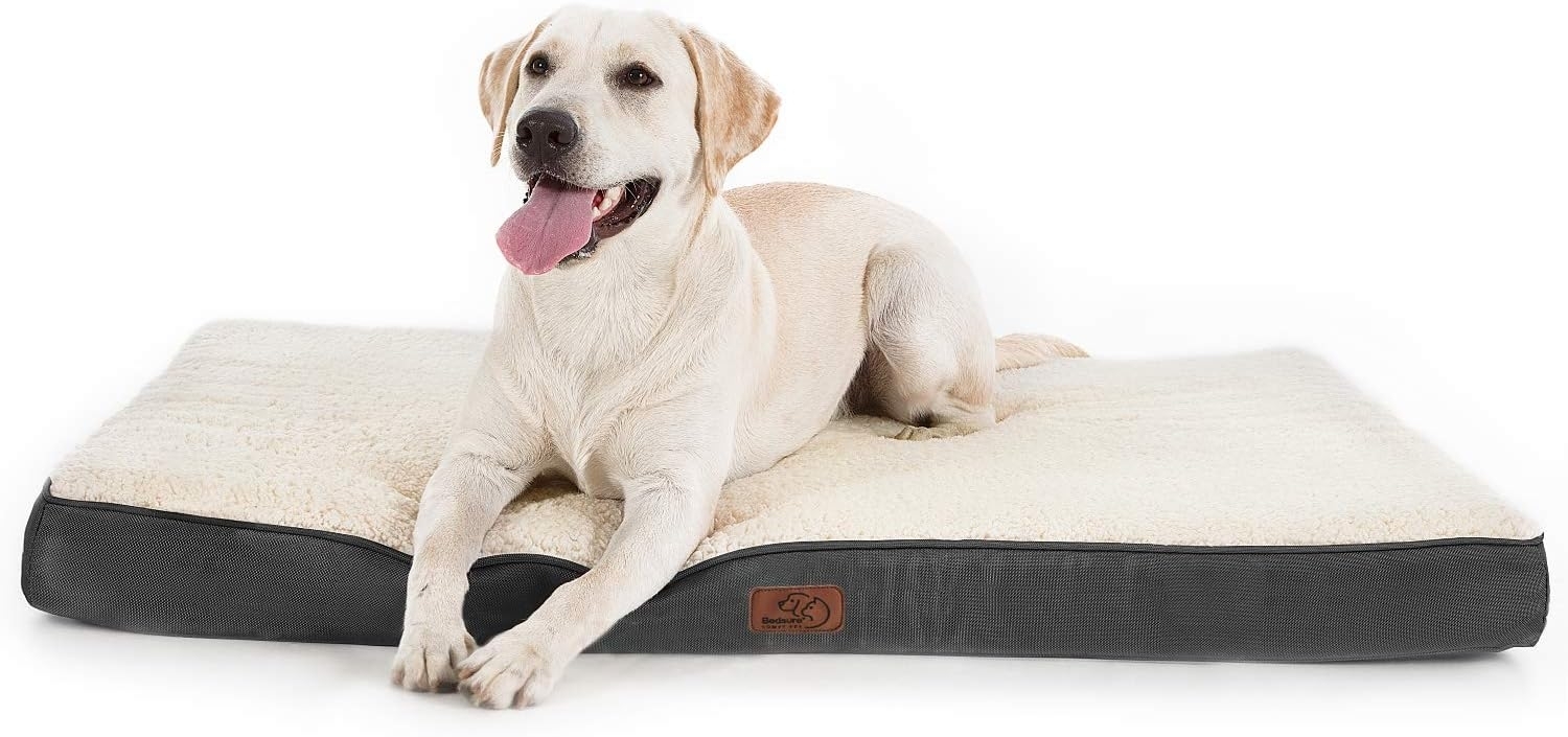 BEDSURE orthopädisches Hundebett Grosse Hunde - 112 x 81 x 7.6 cm Hundekissen flauschig Hundematte waschbar Hundematratze in grau für große Hunde Bild 1