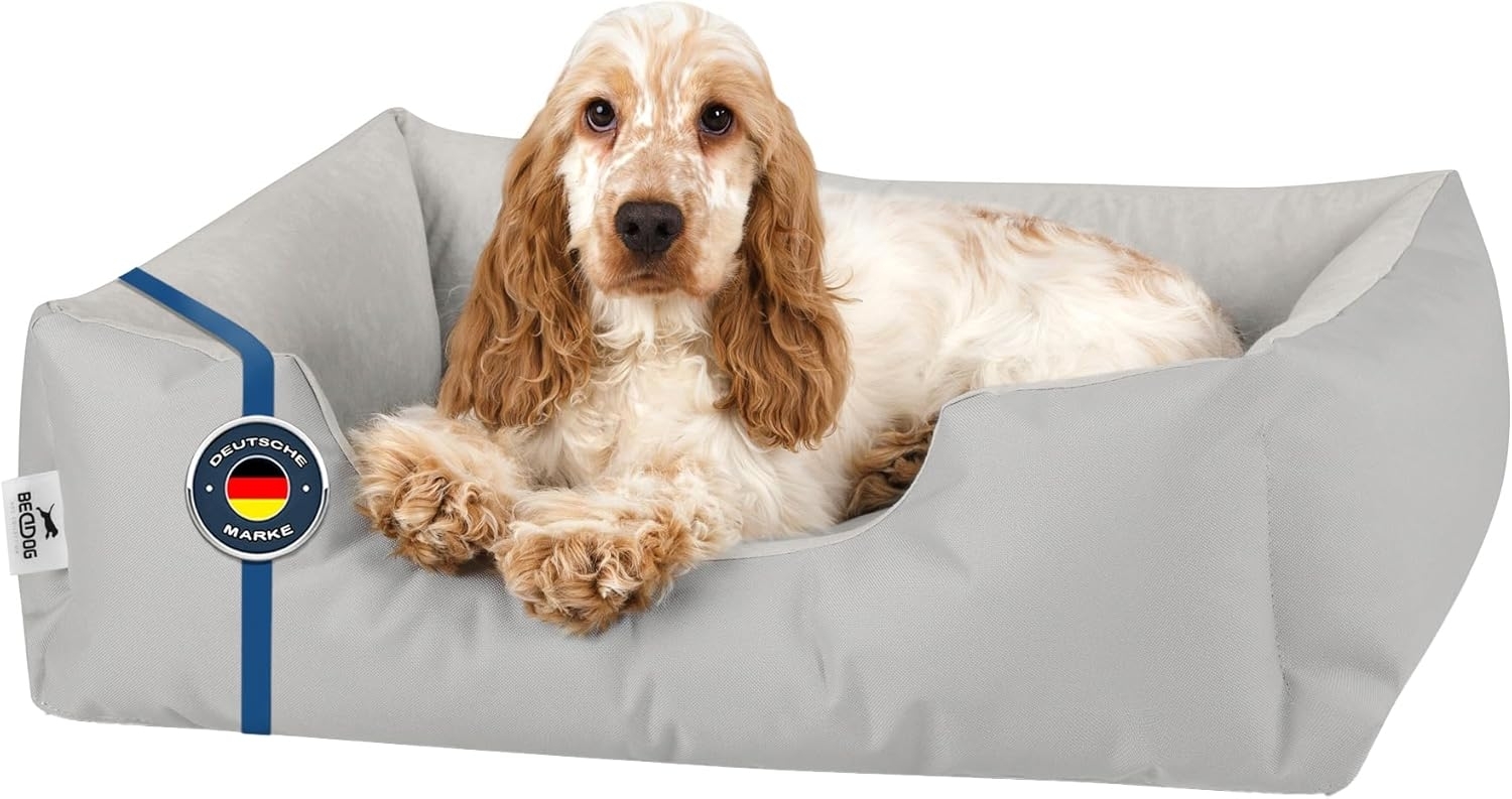 BedDog Hundebett ZARA, Hundekissen mit abziehbaren waschbaren Bezug, Hundekorb, Hundesofa, für kleine, große, mittel-große Hunde (M) ca. 70x55x18cm, LIGHT-GREY (hellgrau) Bild 1