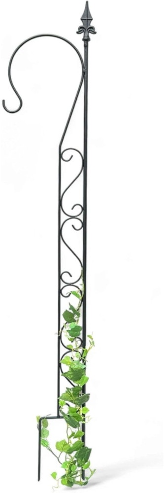 DanDiBo Rankhilfe Garten Metall mit 1 Halter Schwarz Rankgitter für Kletterpflanzen 145 cm Kletterhilfe mit Haken Bild 1