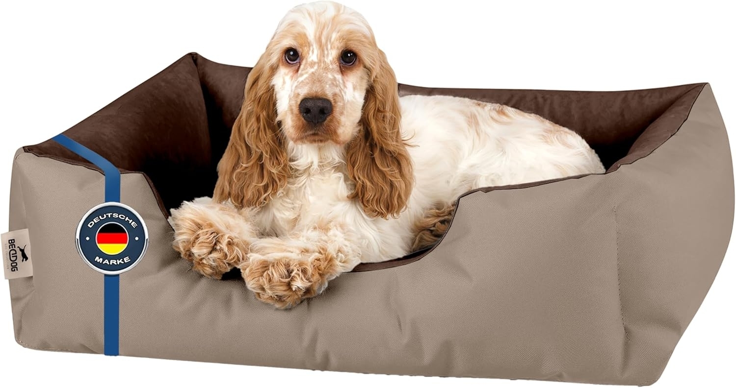 BedDog Hundebett LUPI, Hundesofa aus Cordura, Microfaser-Velours, waschbares Hundebett mit Rand, Hundekissen vier-eckig (S) ca. 55x40x17cm, NAMIBSAND (beige/braun) Bild 1