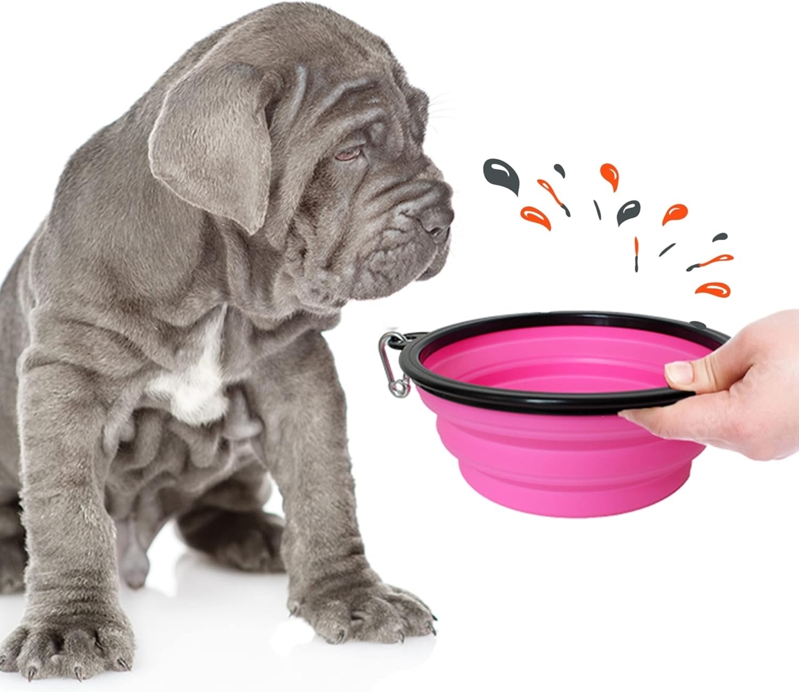 PETSATION Hundenapf faltbar 1000 ml + 350 ml, Silikon rosa Bild 1