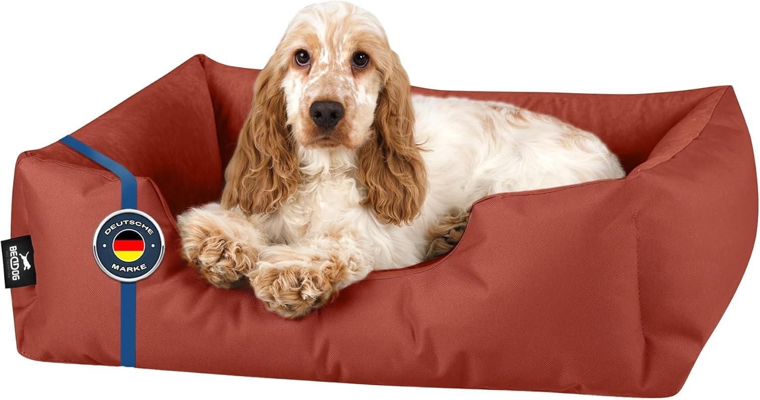 BedDog Hundebett ZARA, Hundekissen mit abziehbaren waschbaren Bezug, Hundekorb, Hundesofa, für kleine, große, mittel-große Hunde (M) ca. 70x55x18cm, HAZELNUT (ziegel) Bild 1