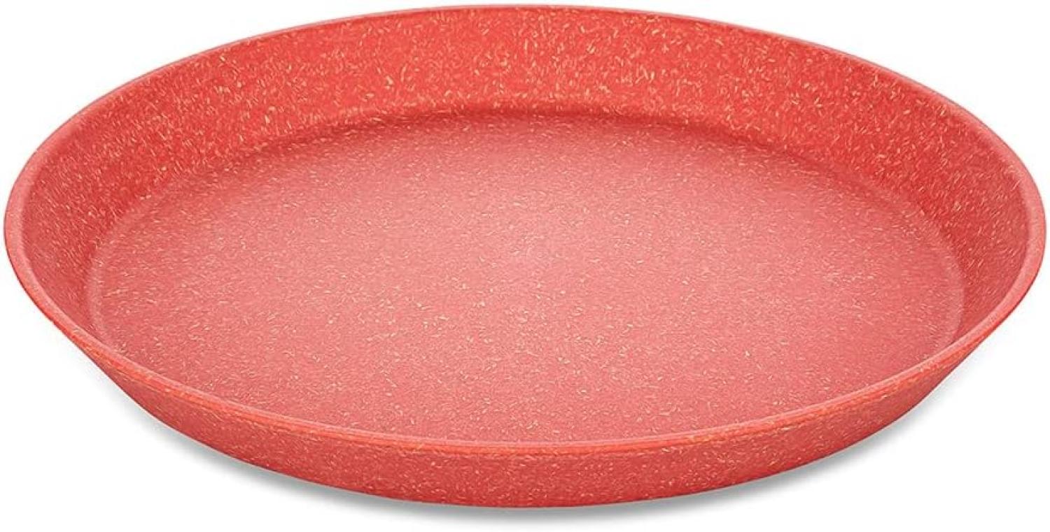 Koziol Kleiner Teller 4er-Set Connect Plate, Kuchenteller, Kunststoff-Holz-Mix, Nature Coral, 20. 5 cm, 7100704 Bild 1