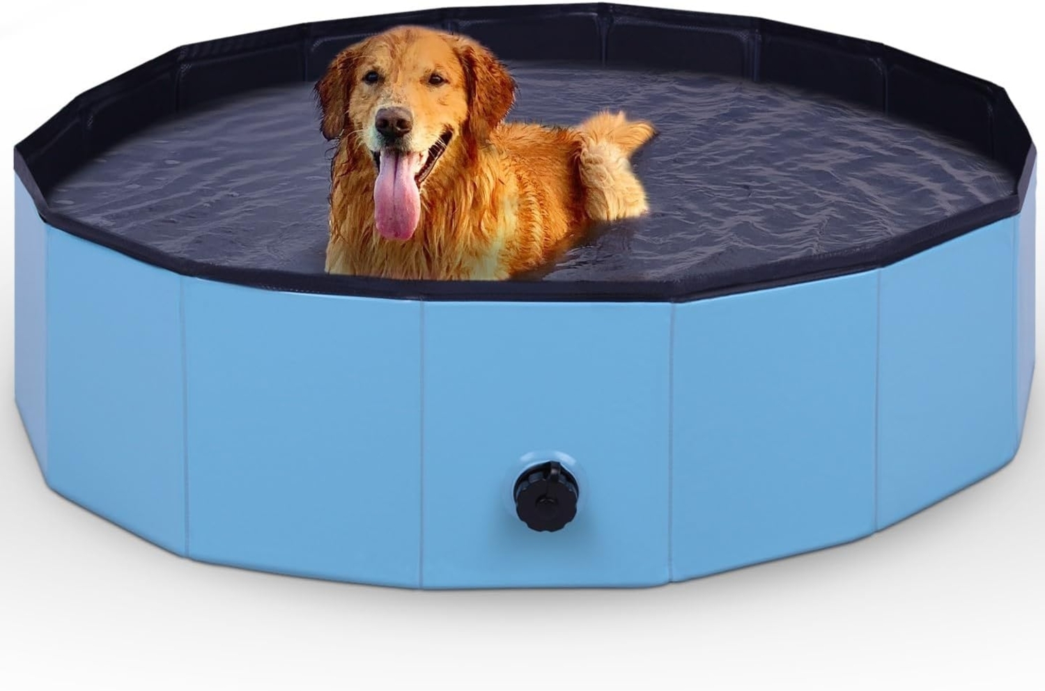 Bestlivings Hundepool Ø80cm/Ø120cm Faltbarer Pool für Hunde, (80x20 cm), Swimming Pool für Hunde, rutschfester Boden und Ablassventil Bild 1