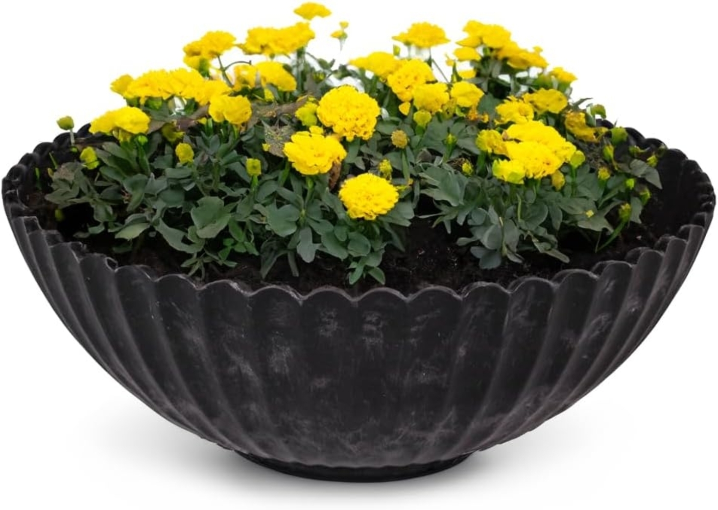 matches21 HOME & HOBBY Blumentopf Dekoschale runde Pflanzschale für draussen schwarz marmoriert 16 cm (1 St), Blumen-Schale als wetterfeste Friedhof-Schale Grab-Schmuck Grabschale Bild 1