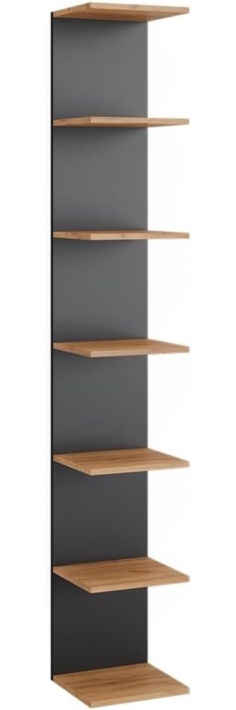 Vicco Bücherregal Paolo, Anthrazit/Goldkraft Eiche, 30 x 190 cm Bild 1