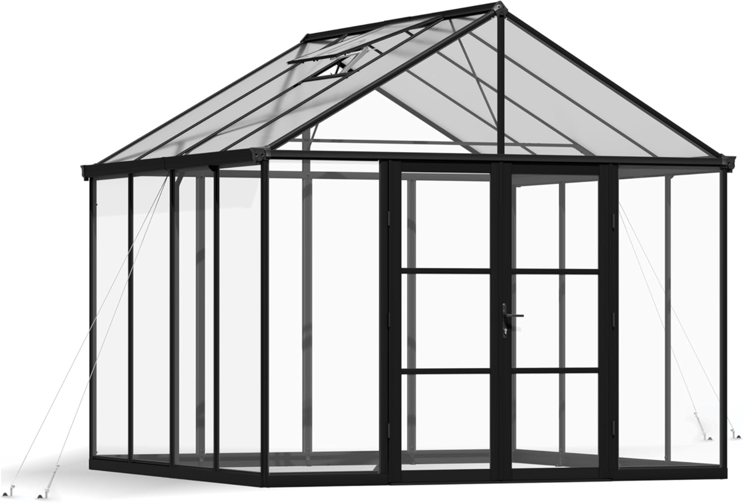 Palram - Canopia Aria 1010 | Alu Gewächshaus mit Fundament | Schwarz | 3x3 m Bild 1