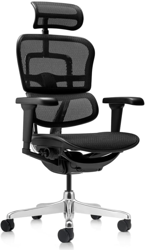 hjh OFFICE Bürostuhl ergonomisch ERGOHUMAN Ultra GEN2 Originales Design, Bürosessel mit Flexibler Lendenwirbelstütze, Netzbespannung, Schwarz Bild 1