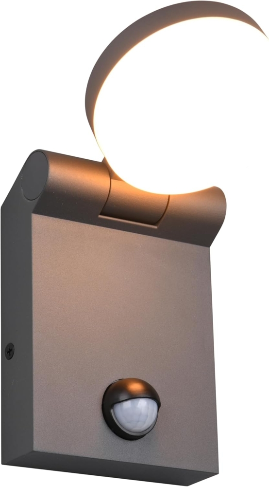 LED Außenwandleuchte ADOUR Höhe 19cm, Schwarz mit Bewegungsmelder Bild 1