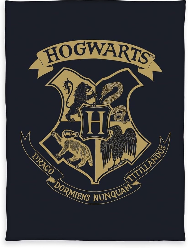 Harry Potter Fleecedecke - 150x200 cm Bild 1