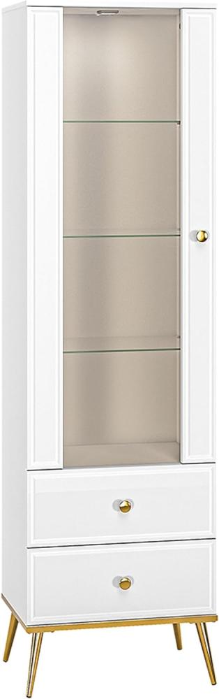 Standvitrine GOLDIN Stauraumschrank 55x40x190cm Bild 1