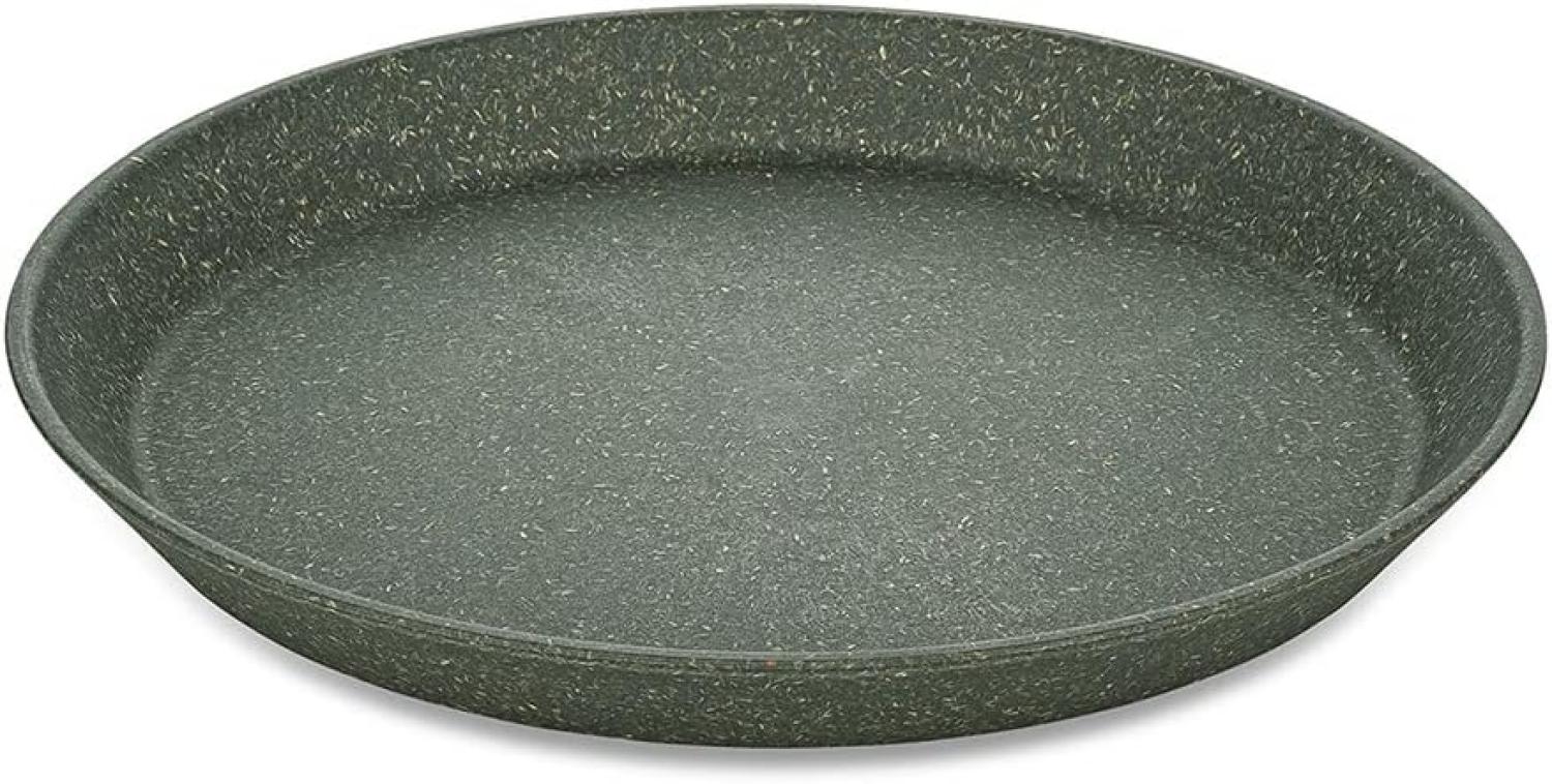 Koziol Kleiner Teller 4er-Set Connect Plate, Kuchenteller, Kunststoff-Holz-Mix, Nature Ash Grey, 20. 5 cm, 7100701 Bild 1