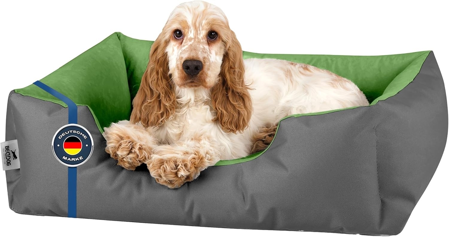 BedDog Hundebett LUPI, Hundesofa aus Cordura, Microfaser-Velours, waschbares Hundebett mit Rand, Hundekissen vier-eckig (M) ca. 70x55x18cm, GREEN-ROCK (grau/grün) Bild 1