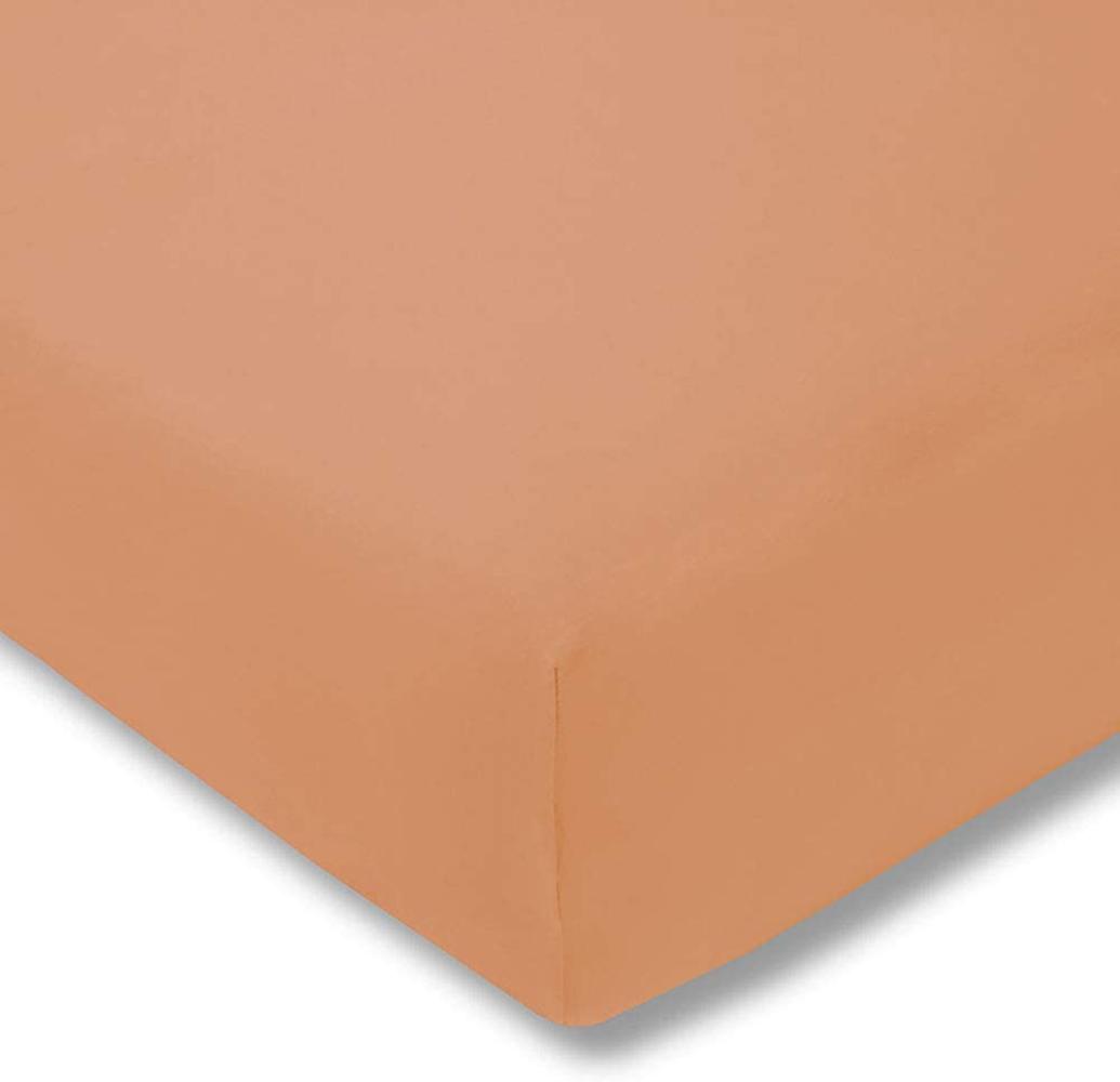 Estella 6500 Jersey Spannbettlaken 180x190-200x200 450-apricot Bild 1