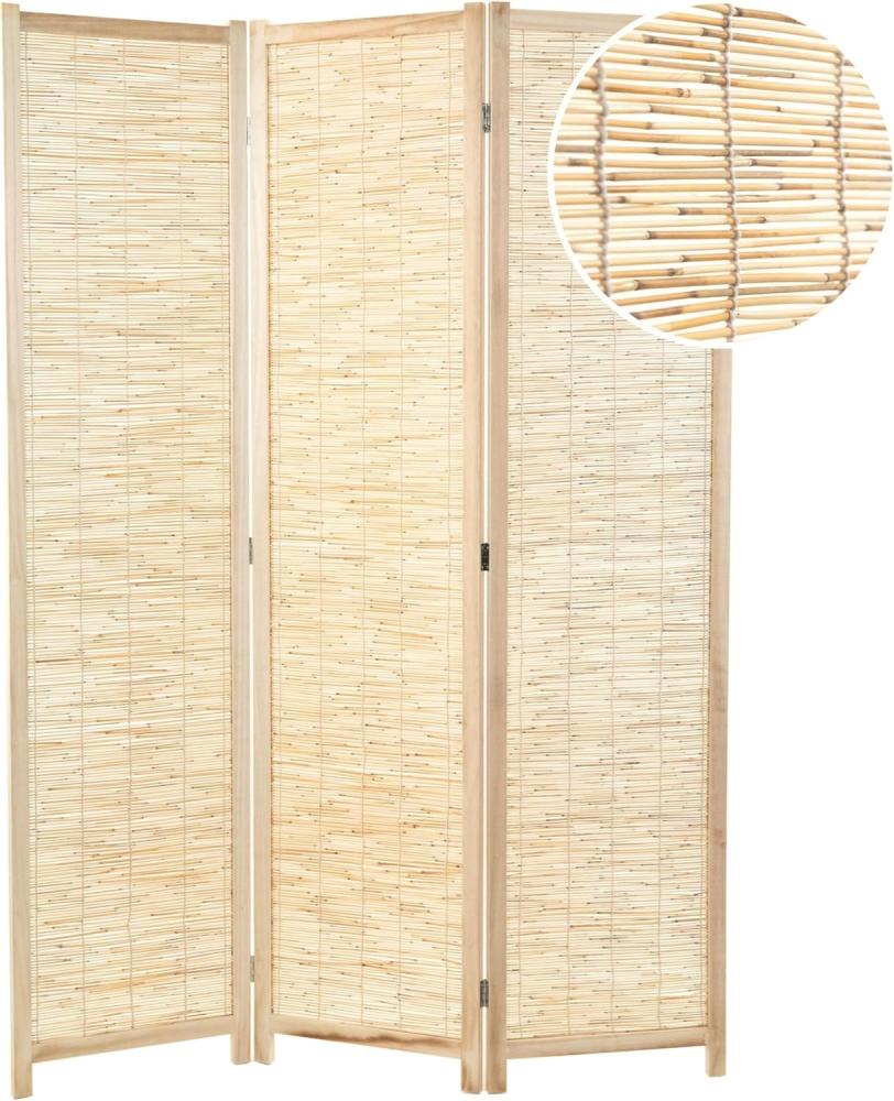 DESIGN DELIGHTS Paravent RAUMTEILER "PLAYA", Schilfrohr, 170x120 cm, Natur Paravent, Farbe: Bild 1