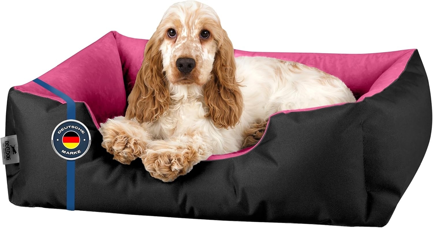 BedDog Hundebett LUPI, Hundesofa aus Cordura, Microfaser-Velours, waschbares Hundebett mit Rand, Hundekissen vier-eckig (S) ca. 55x40x17cm, BLACK-PASSION (schwarz/pink) Bild 1